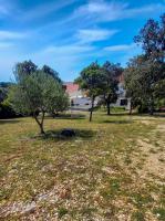 Vonkajšia záhrada v ubytovaní Apartments MULOBEDANJ
