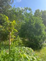 Ein Garten an der Unterkunft Chambre &agrave; louer 1 &agrave; 2 personnes chez l&#39;habitant