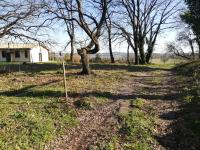 Vonkajšia záhrada v ubytovaní Agriturismo Podere Bianca Maria