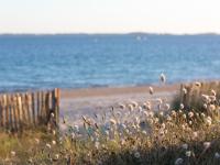 a view of a beach with a fence and the ocean at Holiday Home Saint-Colomban-2 by Interhome in Carnac