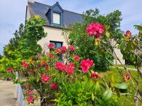 Ogród w obiekcie Maison cosy à Saint-Méloir-des-Ondes avec jardin privé