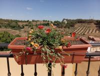 A balcony or terrace at Casa de la Abuela Pili