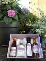 Plán poschodí v ubytovaní Lavender cozy & lovely 17