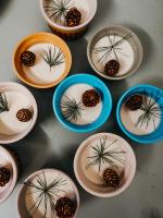 een groep borden met planten erop op een tafel bij Auberge l'Estoilies in Saint-Véran