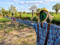 a woman in a hat pointing at a boy in a field at Chambres d&#39;hôtes chez l&#39;habitant - Bed&amp; Breakfast homestay in Huisnes-sur-Mer