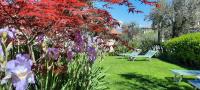 A garden outside Hotel Da Tino