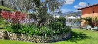 A garden outside Hotel Da Tino