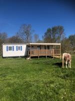 a horse grazing in a field in front of a trailer at Mobil home in Damiatte