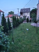 Ogród w obiekcie Anda vendégház