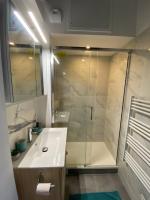 a bathroom with a shower and a white sink at Studio de charme centre-ville Rouen beauvoisine in Rouen