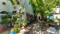 Vonkajšia záhrada v ubytovaní El Rincón de Carmen - El Mirador Rute by Ruralidays