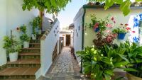 Vonkajšia záhrada v ubytovaní El Rincón de Carmen - El Mirador Rute by Ruralidays