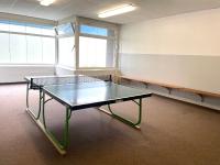 Stolní tenis v ubytování Frische Brise Frische Brise 06 05 nebo okolí