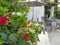 a potted plant with red roses on a patio at Lavocette maison appartement in Le Grau-dʼAgde
