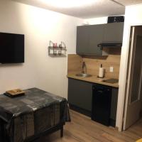 Kuchyňa alebo kuchynka v ubytovaní Studio Puy saint vincent 1600