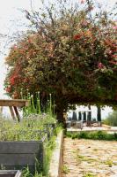 Masseria del Carbojにある庭