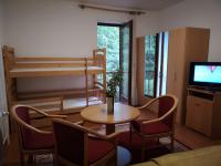Televízia a/alebo spoločenská miestnosť v ubytovaní BALATON ART Guesthouse