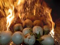 Imagen de la galería de Turismo Rural La Ojinegra, en Alloza