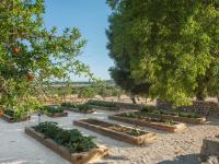 Zahrada ubytování The Lodge Mallorca, Small Luxury Hotels