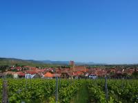 Plan piętra w obiekcie Vineyard house Eguisheim