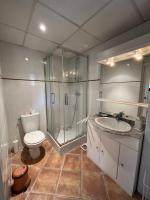 a bathroom with a shower and a toilet and a sink at Corte Appartement T2 en résidence privée in Corte