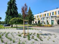 Vonkajšia záhrada v ubytovaní Hotel Olimpijski