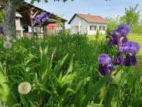 Půdorys ubytování Holiday house Giovanna