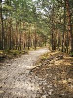 Príroda v okolí apartmánu