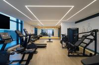 Fitness centrum a/nebo fitness zařízení v ubytování voco Dubai The Palm by IHG