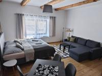 Posezení v ubytování APARTMÁNY 91 Boží Dar