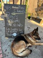 Domáce zviera alebo zvieratá hostí v ubytovaní Albergue Rural Las Águedas