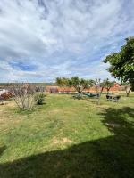 Príroda v okolí hostela