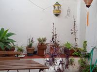 A garden outside Selva La Bella. En el Corazón de Triana