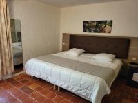 a bedroom with a large bed in a room at Hôtel La Flambée in Bergerac