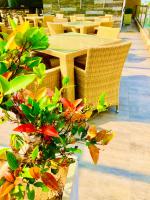 a potted plant in front of a table and chairs at Hotel Sico in Negombo