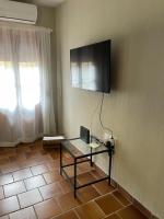 TV a/nebo společenská místnost v ubytování APARTAMENTOS TURÍSTICOS, PONCE DE LEÓN, Deluxe