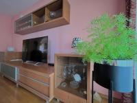 Televízia a/alebo spoločenská miestnosť v ubytovaní Apartment Lola