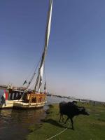 Půdorys ubytování Nile Cruise from Aswan to Luxor Every Friday & Monday & Wednesday