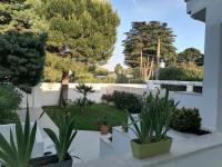 A garden outside Villa Benedetta