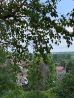a view of a city through the leaves of a tree at Maison Angouleme, France in Angoulême