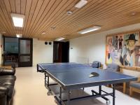 Stolní tenis v ubytování BORG Sommerhotell nebo okolí