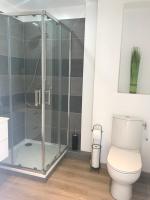 a bathroom with a shower with a toilet at Bel appartement rénové, spacieux et lumineux in Bourg-en-Bresse