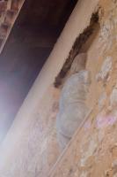Půdorys ubytování Domus Lapidis - Villa