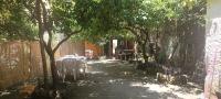 Il giardino nascostoにある庭