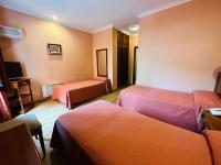 Postel nebo postele na pokoji v ubytování Hotel Los Castaños