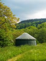 a green tent in the middle of a field at Yourtissimo in Laprugne