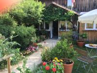 Bed and B Les Truffières في Trémolat: حديقة فيها ورد ونباتات امام مبنى