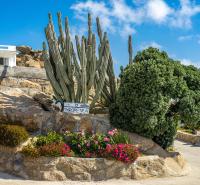 Vonkajšia záhrada v ubytovaní Oniropetra Apartments Mykonos