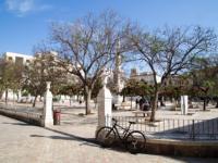 Jazda na bicykli v okolí ubytovania Del Parque Flats Monkey 1