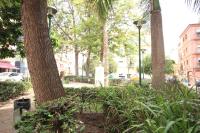 Vonkajšia záhrada v ubytovaní Del Parque Flats Monkey 1